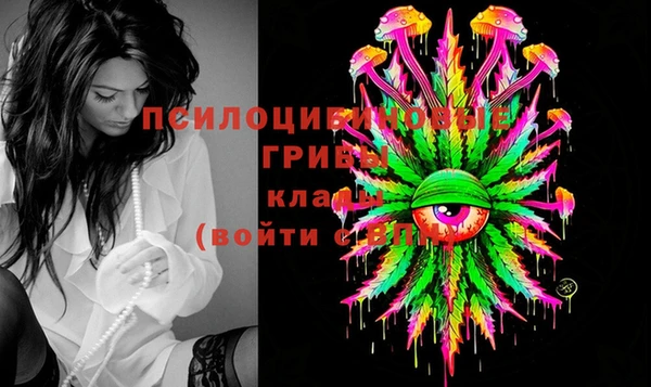 каннабис Коряжма