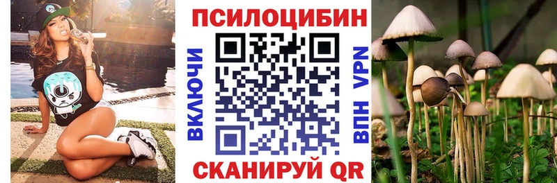 Псилоцибиновые грибы GOLDEN TEACHER  Мариинский Посад 
